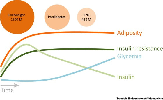 Can Insulin Resistance Alone Cause High Blood Sugar?